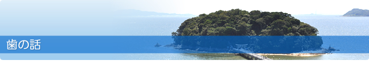 歯の話